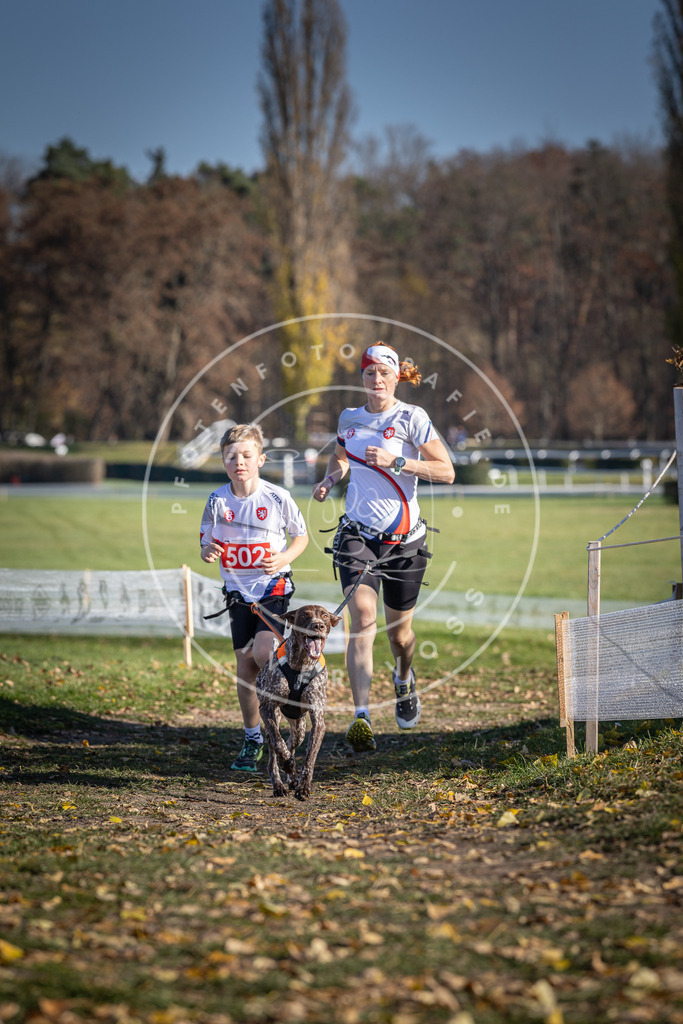 CaniXpix_DV3A7819 | Hundefotografie, Tierfotograf, Pfotenfotografie, Fotoshooting Hund, Hunde Portrait, Hundesport, Hundeportraits, Heideshooting, Hunde, Sportfotograf, Hundefotograf, Turnierhundsport, THS,  - Realisiert mit Pictrs.com