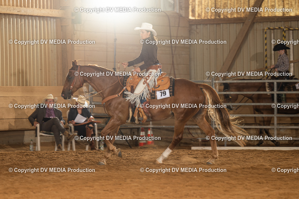 NID01482 | dv-media-shop - Realisiert mit Pictrs.com