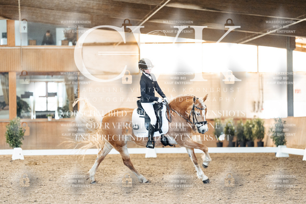 CK907410 | Turnierfotografie Pferdefotografie Trier Rheinland-Pfalz Pferdesport Reitsport Tierfotografie Sportfotografie Pferdevideo Pferdevideografie Equestrianvideography equestrianphotography  - Realisiert mit Pictrs.com