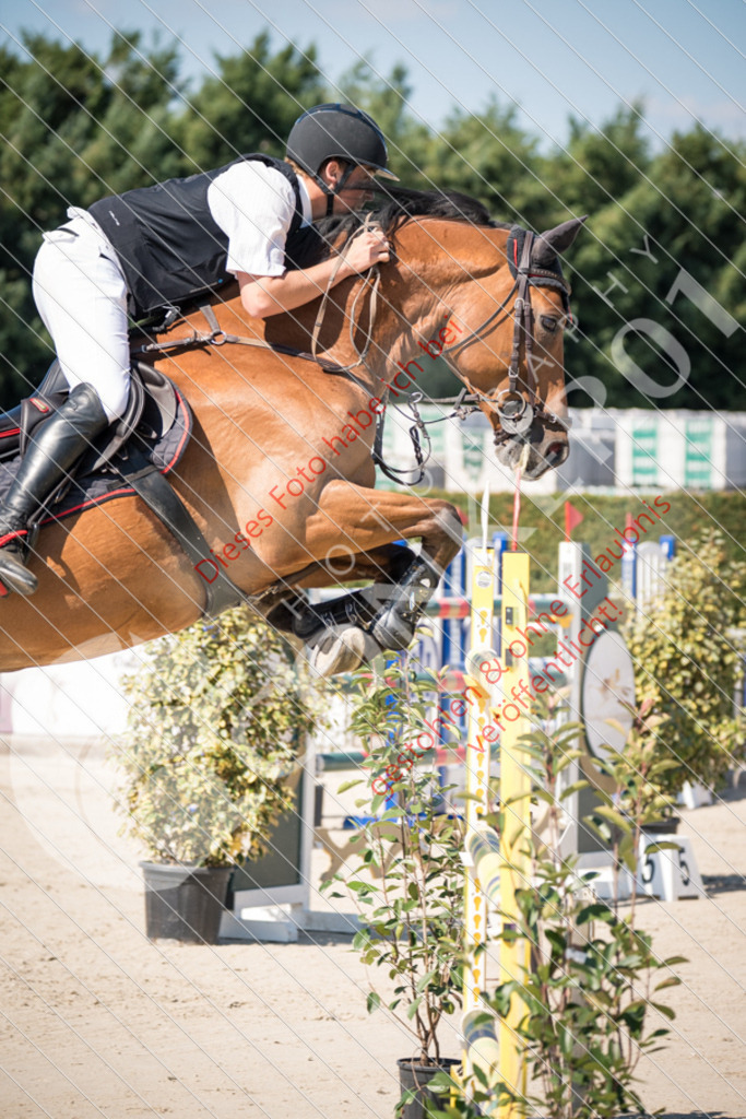 DSC_3274 | Sport-, Event- und Tierfotos in Profiqualität. Einfach auswählen, bestellen und herunterladen. Dein Moment – perfekt festgehalten.