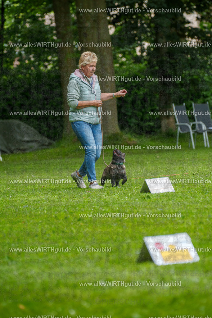 @allesWIRTHgut_Tierfotografie - www.allesWIRTHgut.de - 7R504405 | Professionelle Tierfotografie in Mönchengladbach von Daniel Wirth (allesWIRTHgut). Liebevolle & natürliche Bilder von Hunden & Katzen für unvergessliche Erinnerungen.