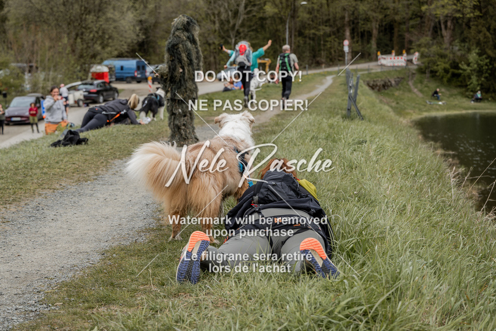 NR__2846 | nelerasche