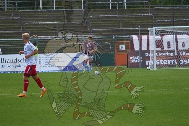 BFC Dynamo vs. ZFC Meuselwitz 170 | mythos-online-redaktion