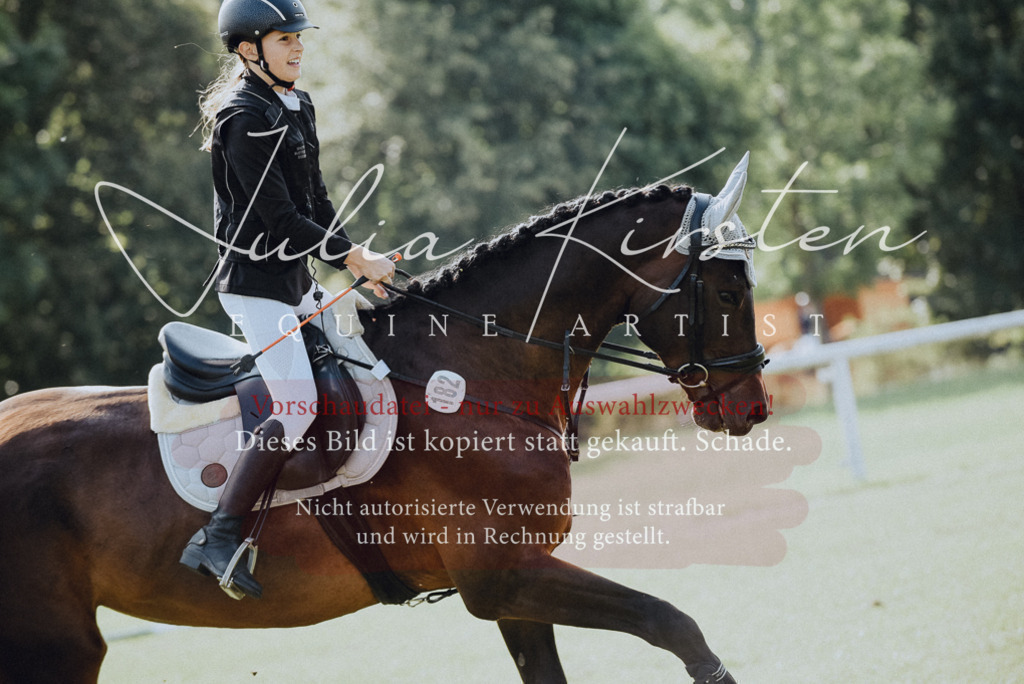 DSC_8676 | Pferde- und Turnierfotografie in Westsachsen. Pferdeportraits, Auftragszeichnungen und intuitive Kunst.