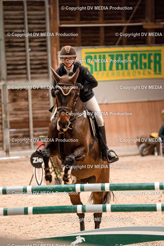 Springen Tag 1-356 | dv-media-shop - Realisiert mit Pictrs.com