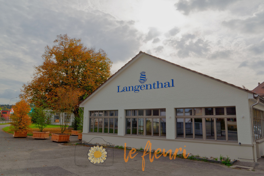 DSC_0372-NEF_DxO_DeepPRIME | Dies ist der Shop von Florian Blum - le fleuri. Langenthal, Bern, SchweizSie können hier meine oder ihre eigenen Fotos als Fotoprodukte kaufen. Tassen, Schlüsselanhänger, Taschen etc. können Sie hier gestalten.  - Realisiert mit Pictrs.com