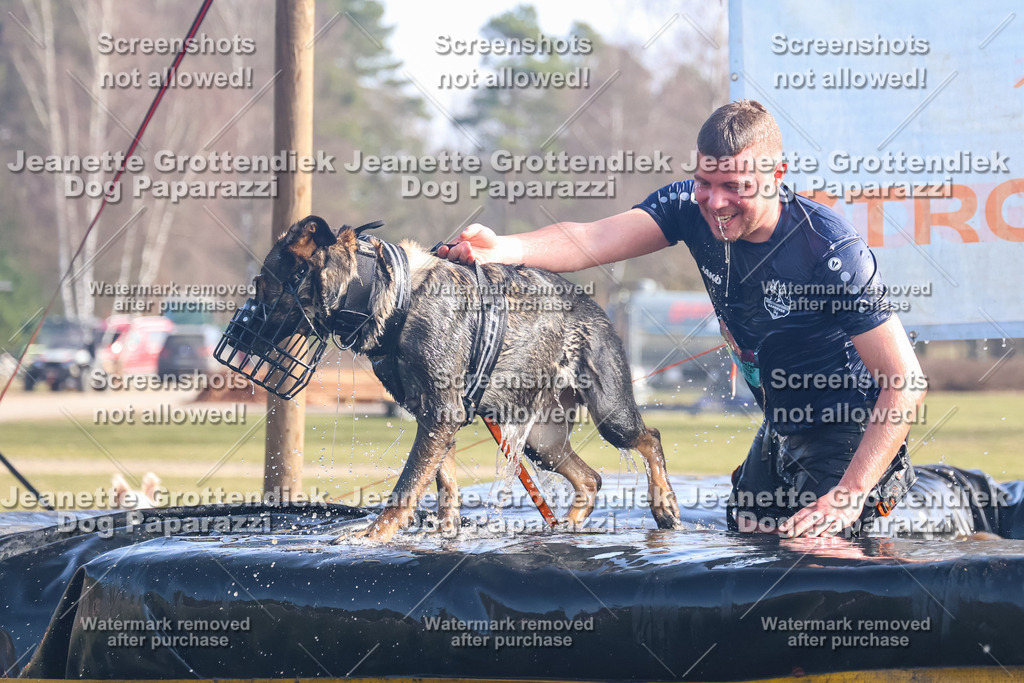 Dog Paparazzi - Strongdog North Mrz26-961 | Dog Paparazzi Jeanette Grottendiek Fotografie & Videografie - Realisiert mit Pictrs.com
