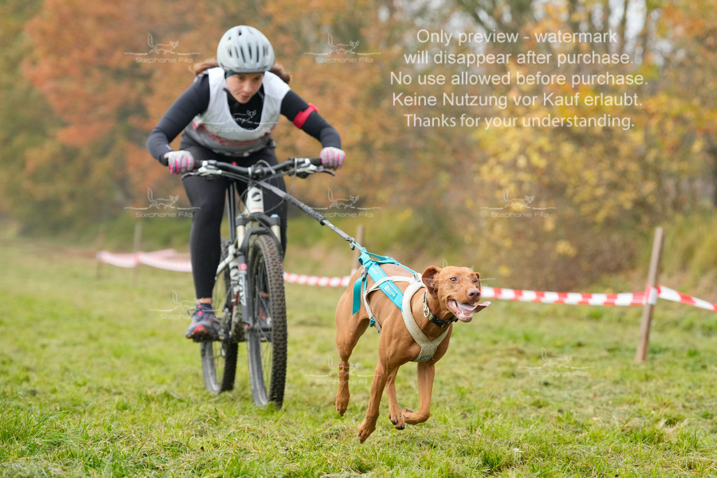 Visbeck_Sa_Bike-174 | stephaniefillaphotographie - Realisiert mit Pictrs.com