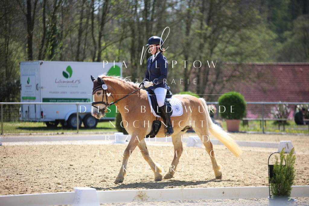 IMGT2273 | pl-fotografie