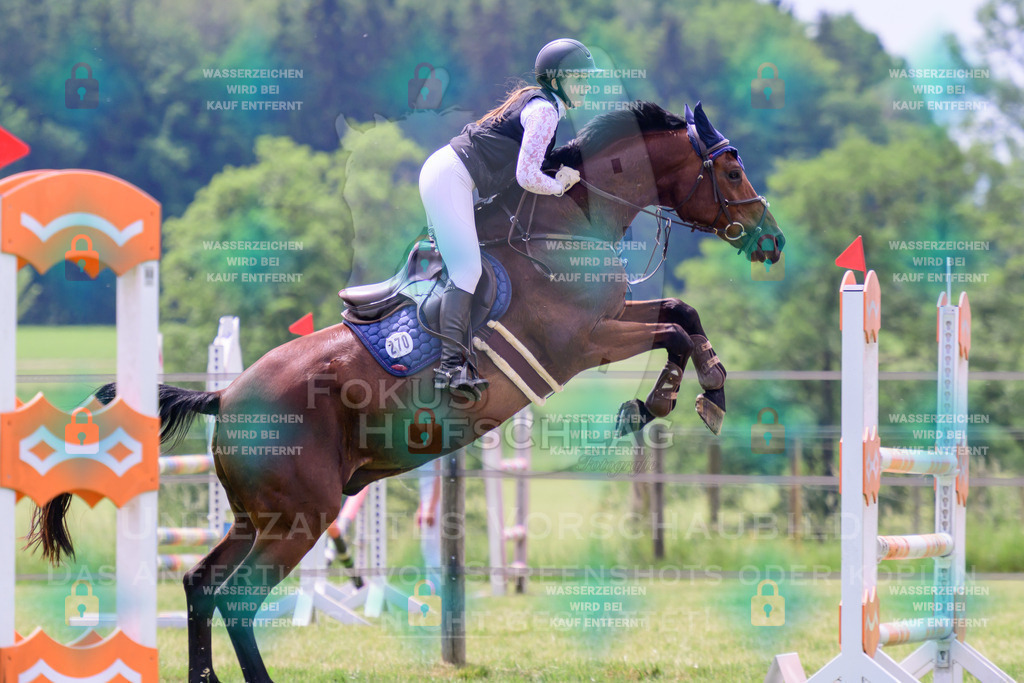 30052026-Forstinning-Prfg23-0049 | Fokus Hufschlag Fotografie - Realisiert mit Pictrs.com