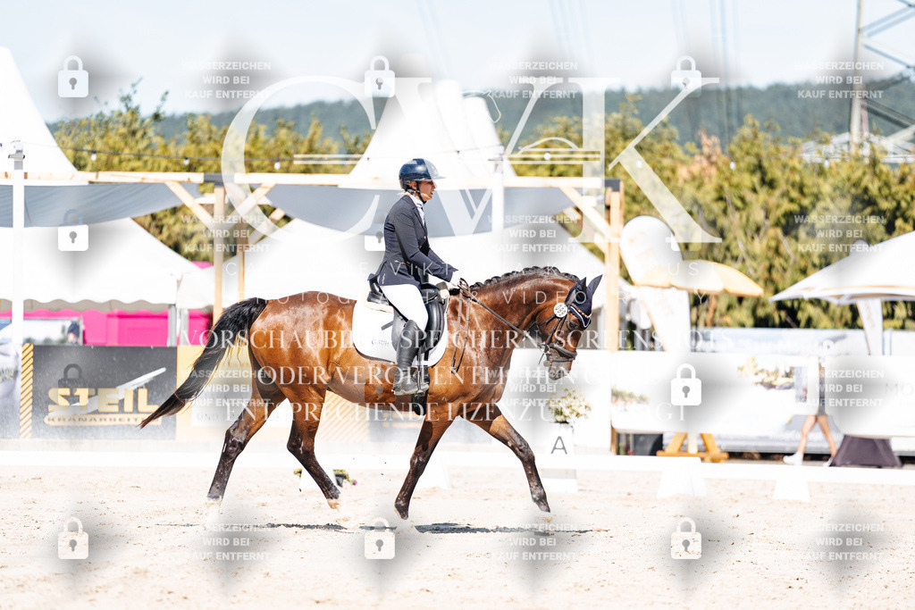 CK909362 | Turnierfotografie Pferdefotografie Trier Rheinland-Pfalz Pferdesport Reitsport Tierfotografie Sportfotografie Pferdevideo Pferdevideografie Equestrianvideography equestrianphotography  - Realisiert mit Pictrs.com