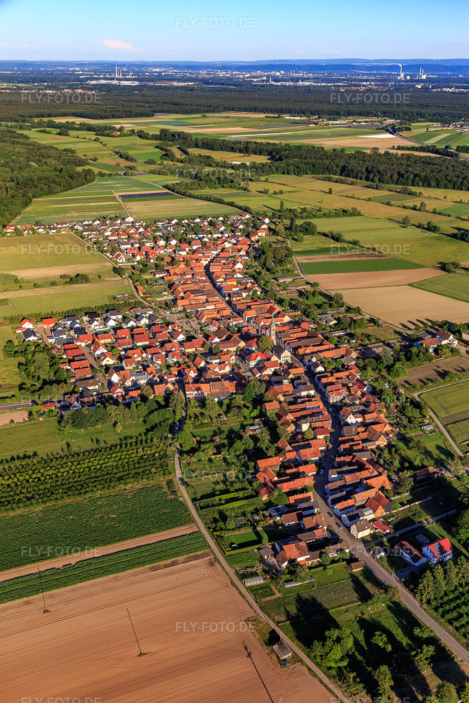 Luftbild: Dorfansicht von Nordwesten in Erlenbach bei Kandel im Bundesland Rheinland-Pfalz in Deutschland. Foto: IMG_115086.jpg vom 13.06.2019 durch Werner Riehm/FLY-FOTO.de