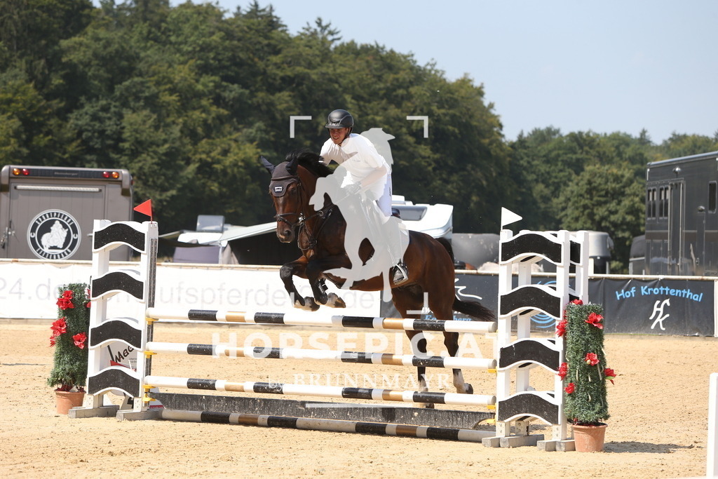 DL2Q0881 | Willkommen bei Brunnmayr - Design & Fotografie – Ihrem Spezialisten für Reitturniere und Pferdeveranstaltungen in Oberösterreich, Salzburg und Bayern! Seit über 17 Jahren sind wir leidenschaftlich dabei.