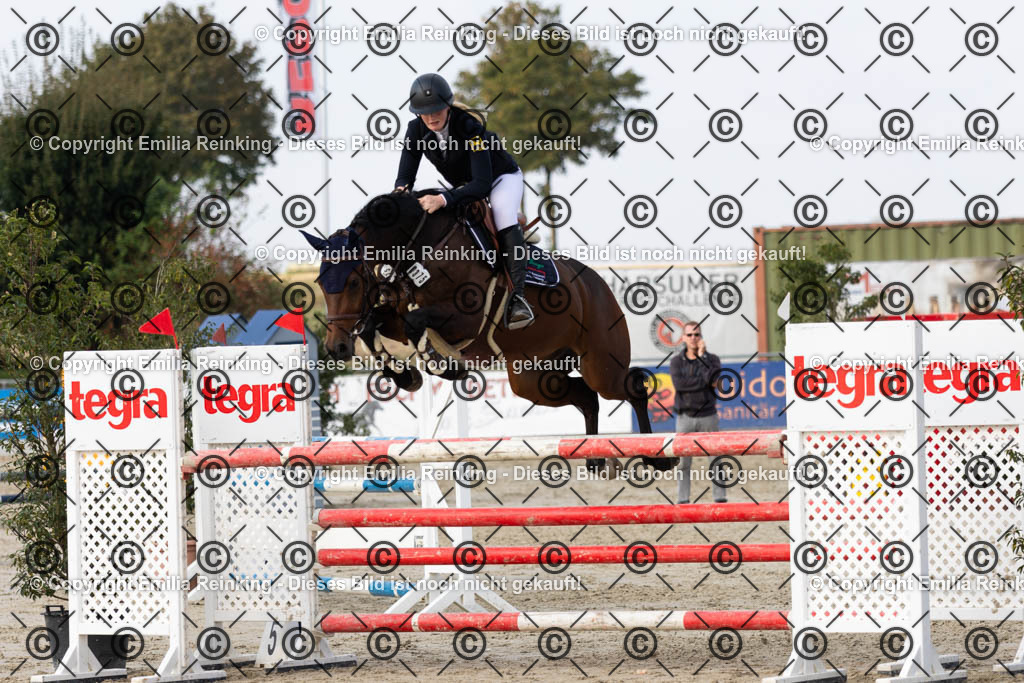 CL5A5203 | Emilia Reinking Fotografie - Realisiert mit Pictrs.com