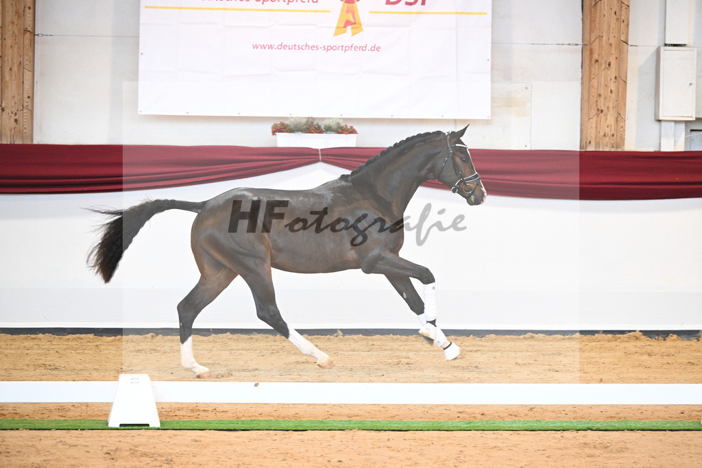 Kat-Nr. 31 v. Ferrantino_Lehner_66221823 | hf-fotografie - Realisiert mit Pictrs.com
