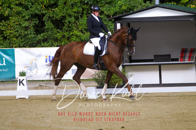 DKP40884 | Turniersportfotografie; Pferdefotografie; Dressurfotografie