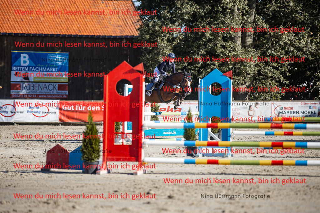 BK1A7499 | Turnierbilder Turnierfotos Nina Hüffmann Turnierfotografie Pferdefotografie Tierzeichnung Haustierzeichnung Pferdezeichnung Hundezeichnung Videograf  - Realisiert mit Pictrs.com