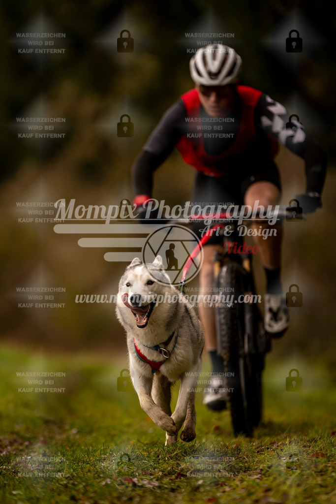 MompixPhotography_2SSTSSBW_2025_SO_Bike-66 | PayLife