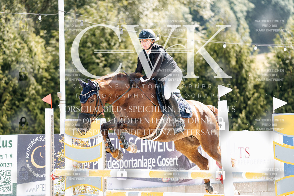 CK908498 | Turnierfotografie Pferdefotografie Trier Rheinland-Pfalz Pferdesport Reitsport Tierfotografie Sportfotografie Pferdevideo Pferdevideografie Equestrianvideography equestrianphotography  - Realisiert mit Pictrs.com