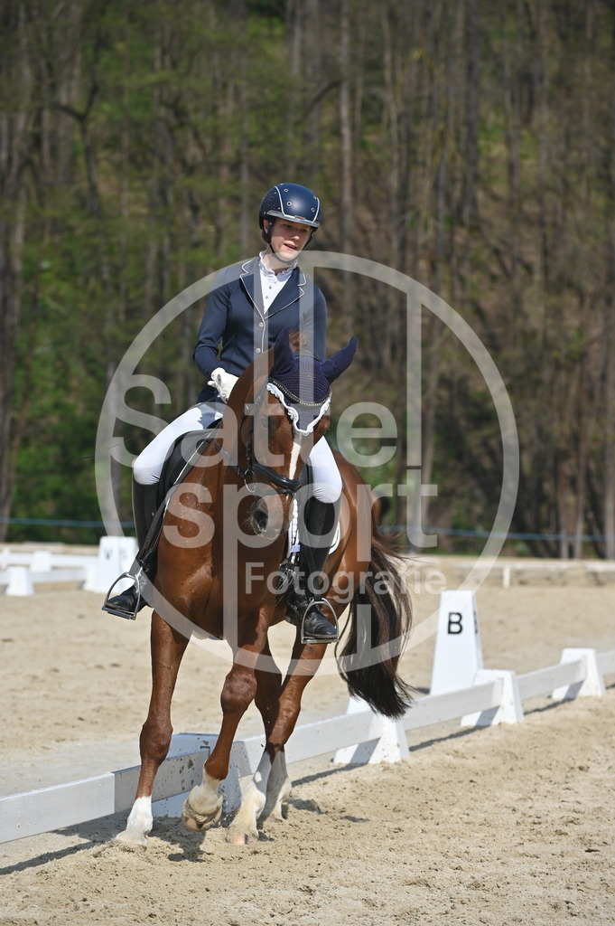 DSC_1148 | sattelsport - Realisiert mit Pictrs.com