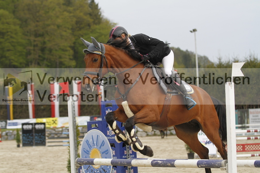 _MG_0892 | equestrian-live-com