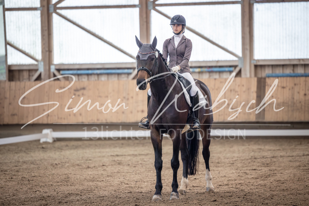 20251011-_3LI9641 | Tierfotografie Pferde, Hunde, Katzen, Haustiere.
Turnierfotografie Reitturniere, Reiten, Springreiten, Dressur in Hanau, dem Main-Kinzig-Kreis und dem Rhein-Main- Gebiet um Frankfurt