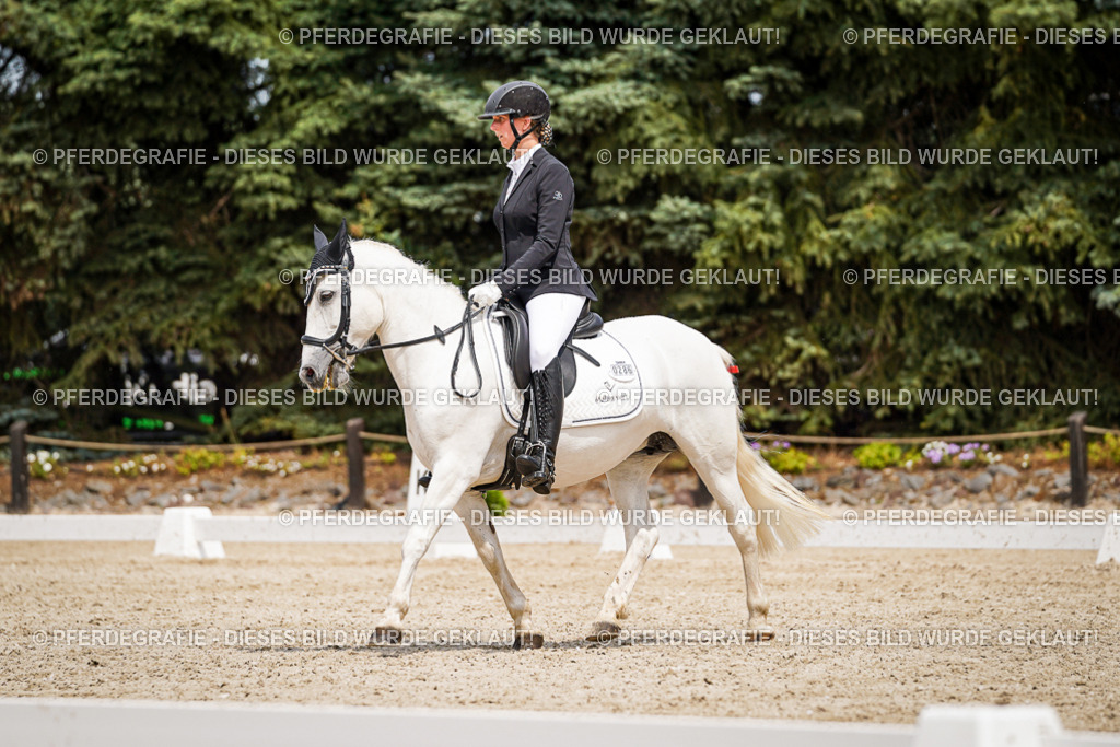 DSC03882 | Pferdegrafie