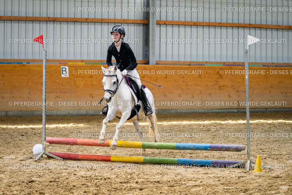 DSC02313 | Pferdegrafie