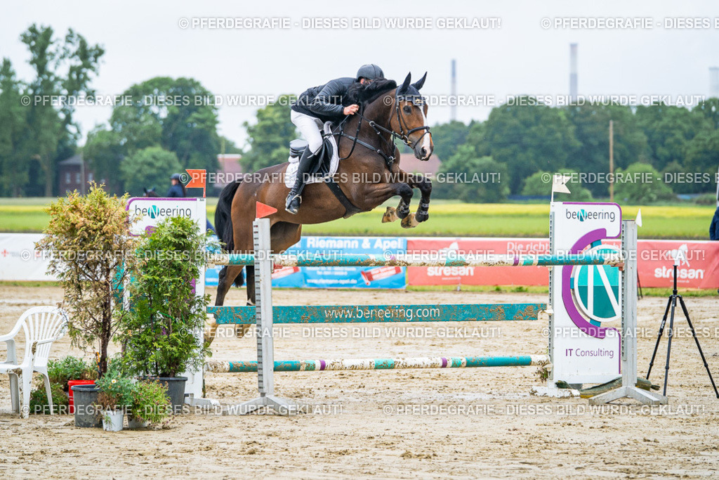 DSC03639 | Pferdegrafie