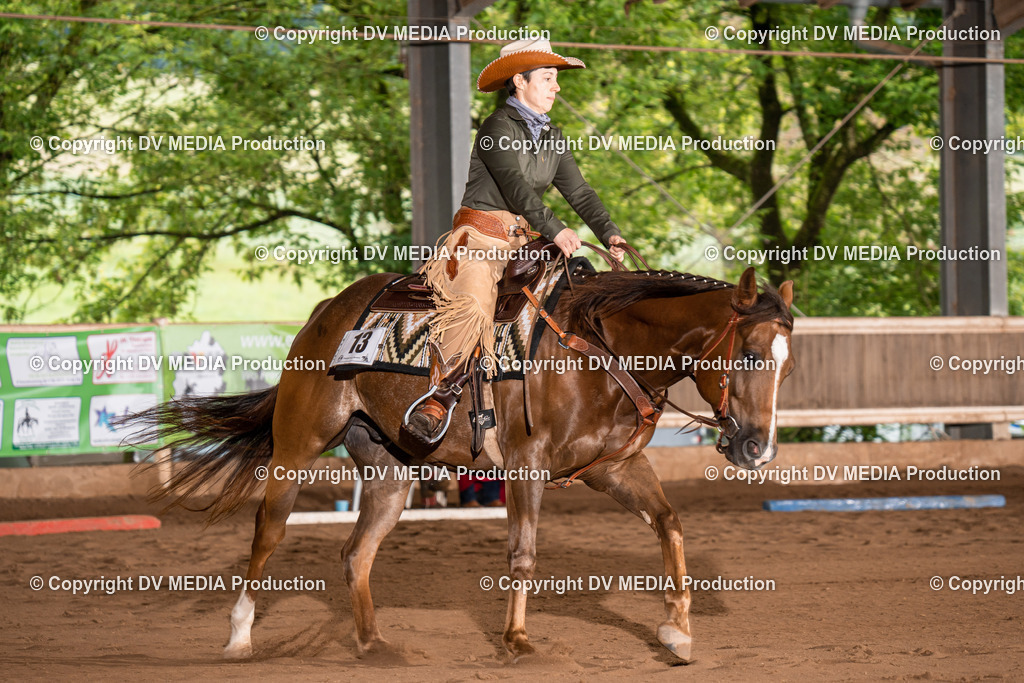 Erbach Tag 2-453 | dv-media-shop - Realisiert mit Pictrs.com