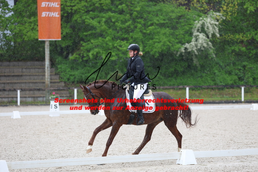 A40A7603 | lmwpictures - Realisiert mit Pictrs.com