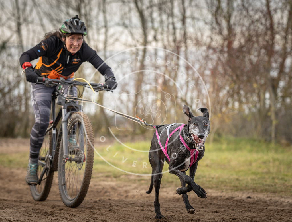Pfotenfotografie_DV3A7809 | Hundefotografie, Tierfotograf, Pfotenfotografie, Fotoshooting Hund, Hunde Portrait, Hundesport, Hundeportraits, Heideshooting, Hunde, Sportfotograf, Hundefotograf, Turnierhundsport, THS,  - Realisiert mit Pictrs.com