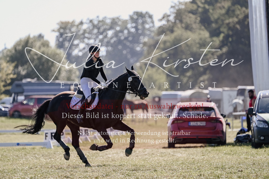 DSC_3494 | Pferde- und Turnierfotografie in Westsachsen. Pferdeportraits, Auftragszeichnungen und intuitive Kunst.