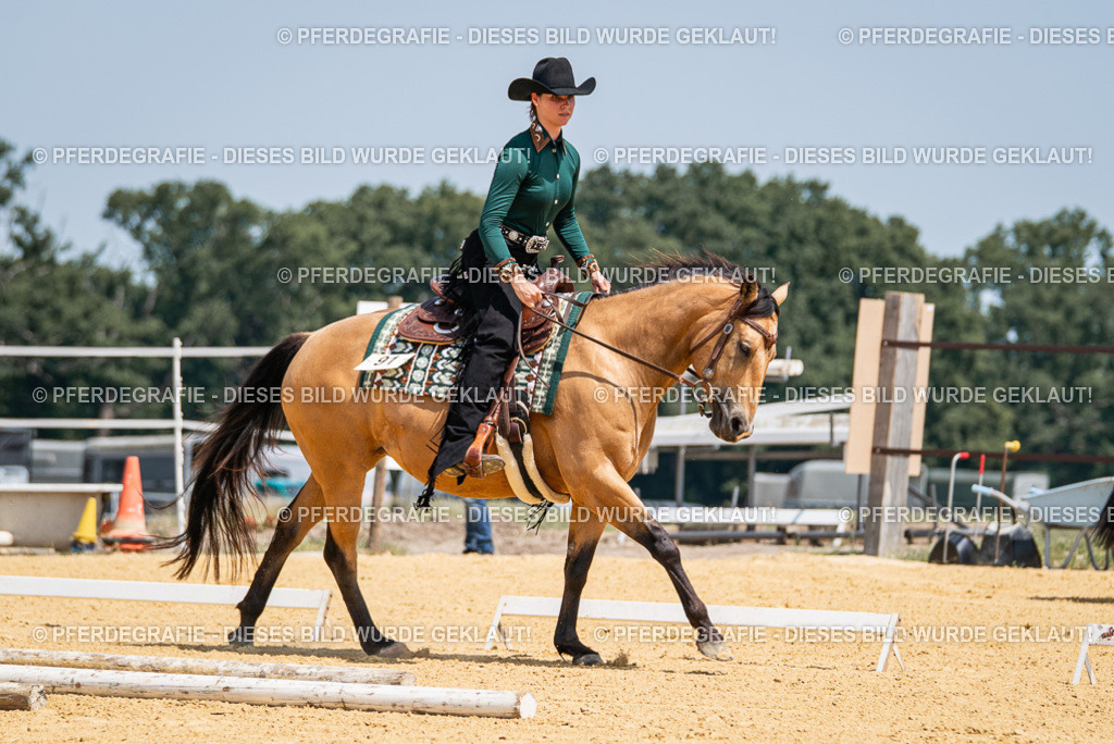 DSC01328 | Pferdegrafie