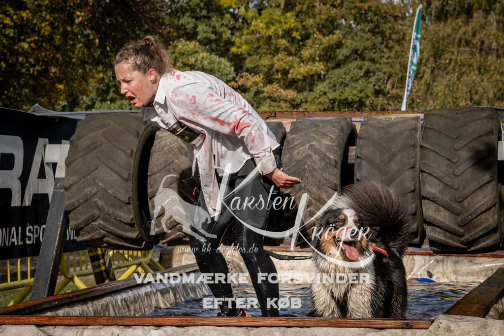 1342_ZZ92827 | kk-dogfotos