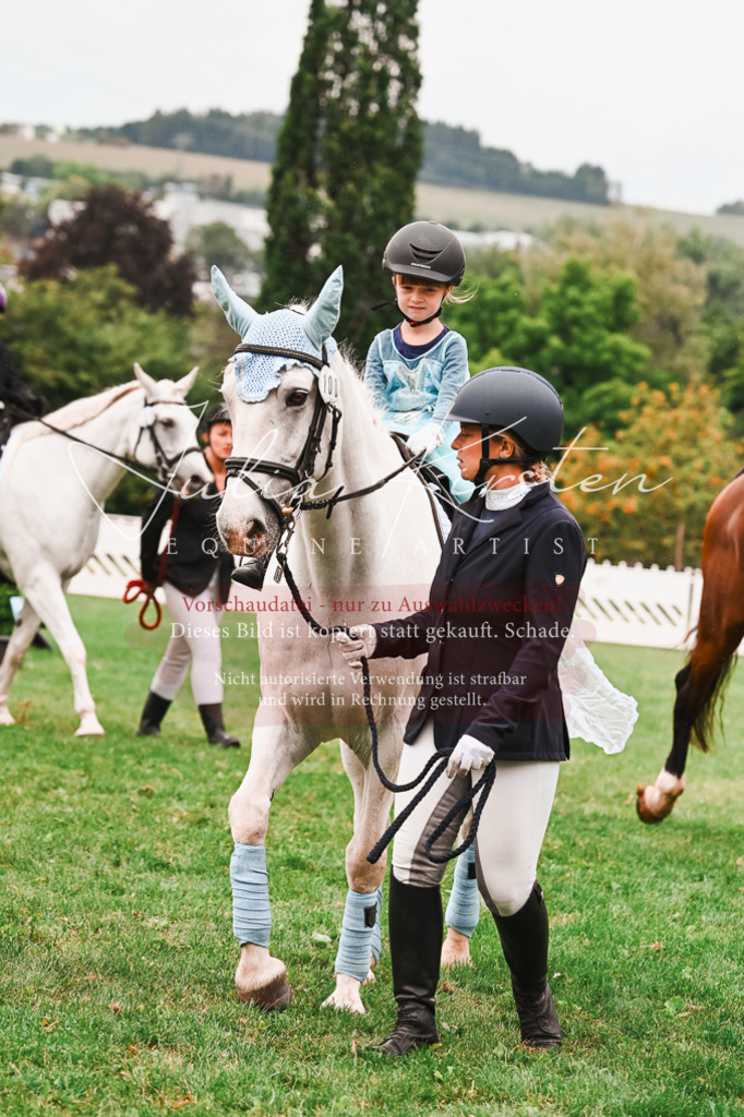 DSC_7312 | Pferde- und Turnierfotografie in Westsachsen. Pferdeportraits, Auftragszeichnungen und intuitive Kunst.