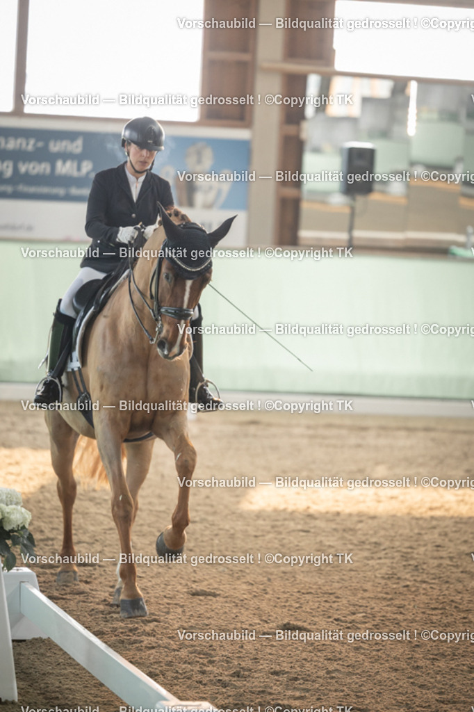 _D5A3984 | Emotionale Pferde- & People-Fotografie rund um Heidelberg, Leimen & Umgebung. Natürliche Fotos von Pferd, Mensch & Familie. Jetzt Termin sichern!