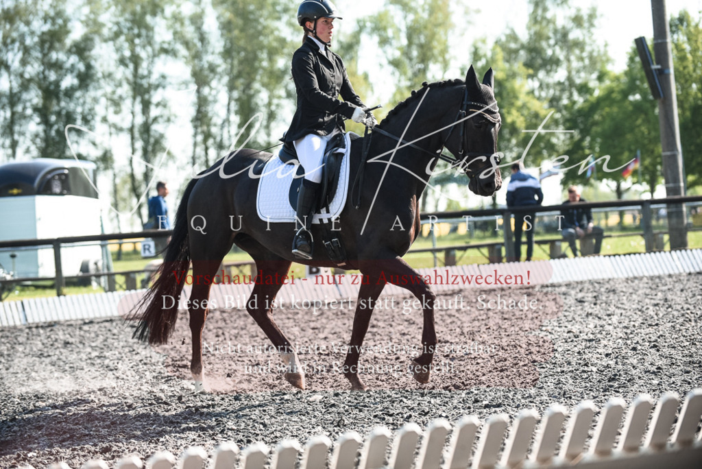 DSC_8331 | Pferde- und Turnierfotografie in Westsachsen. Pferdeportraits, Auftragszeichnungen und intuitive Kunst.