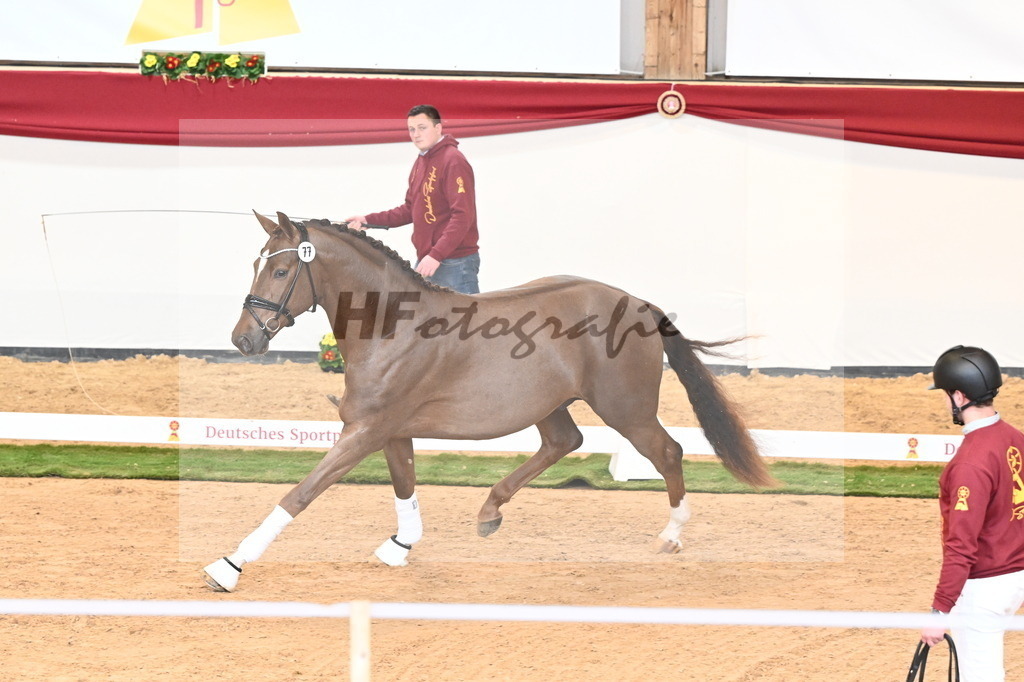 Kat.-Nr. 77 v. Vaderland_Schafhof_2240993 | hf-fotografie - Realisiert mit Pictrs.com