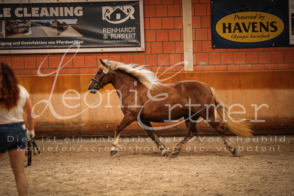 SaFL00443 | Leoni Ertmer Photography - Realisiert mit Pictrs.com