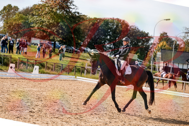 2026_10_03_Siefer-Hof_133621_Z63_96813897 | Professionelle Reitsport-, Turnier- und Eventfotografie von Robert Broda. Galerien mit ausgewählten und bearbeiteten Bildern direkt online ansehen und bestellen.