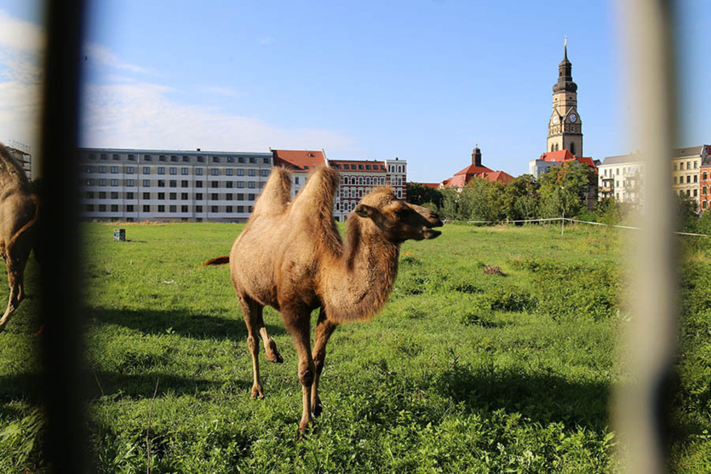Philippuskirche | Das Team hinter BILDLEXIKON LEIPZIG bündelt historische wie aktuelle Informationen über die Stadt Leipzig in Text und Bild auf einer Plattform und stellt diese der interessierten Öffentlichkeit zur Verfügung.