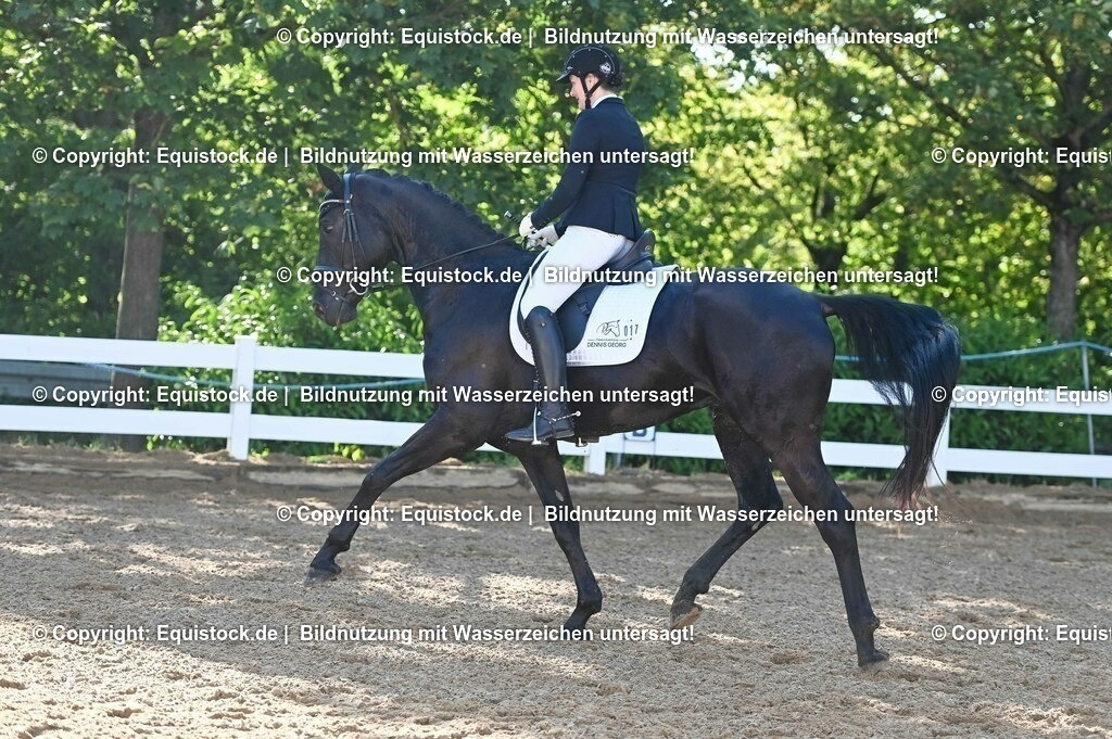 20230715_06_Dressurpferdeprfg. Kl.A_0008 | equistock