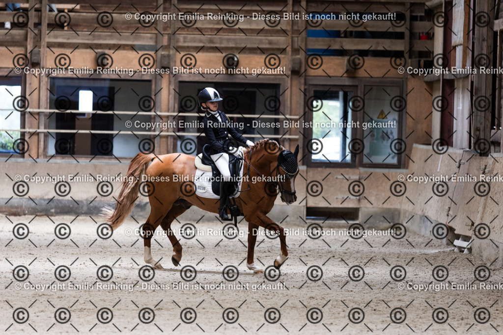 CL5A4024 | Emilia Reinking Fotografie - Realisiert mit Pictrs.com