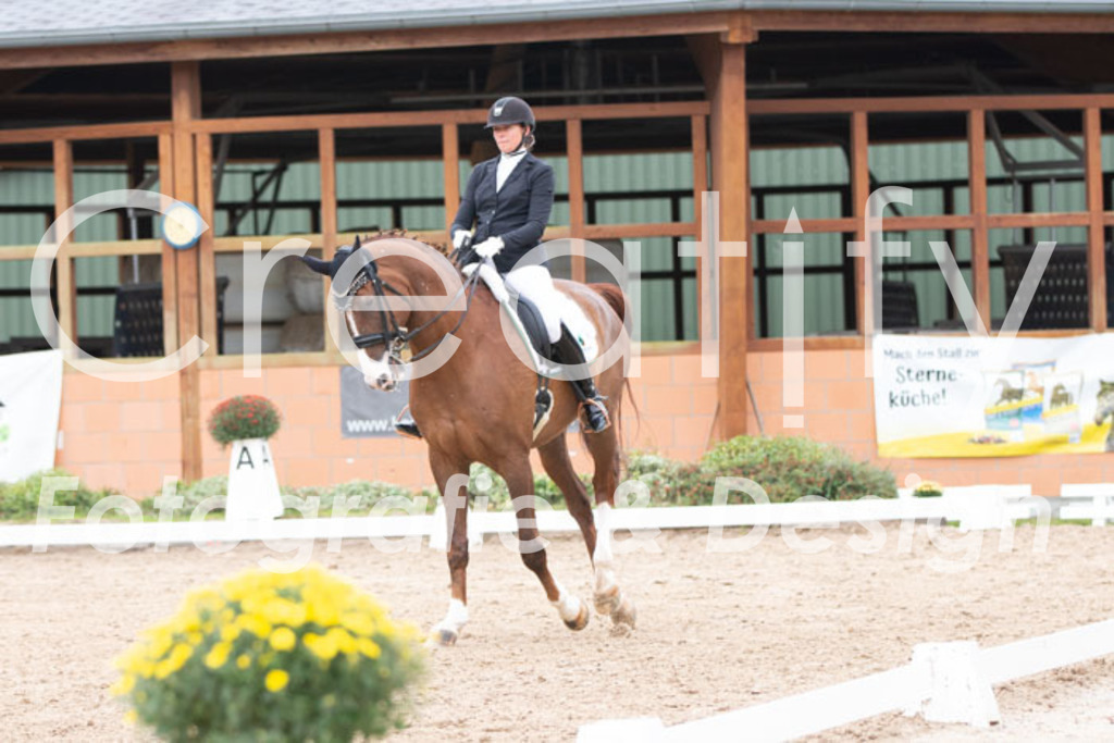 IMG_7253 | Creatify Fotografie