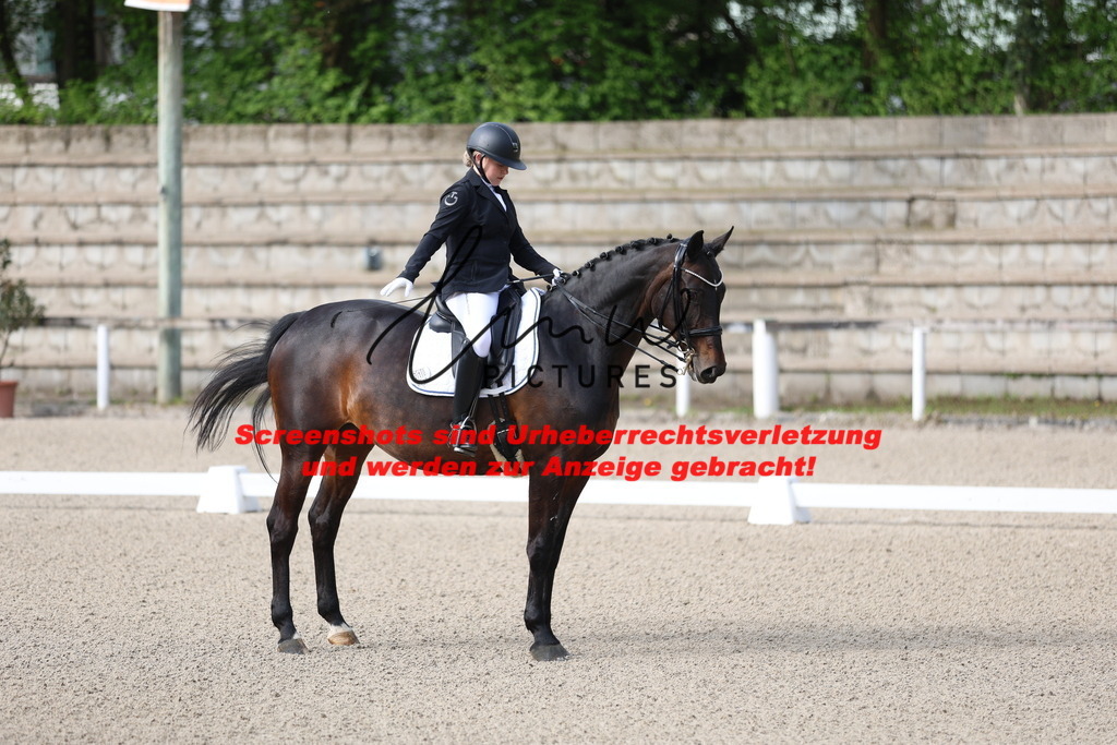 A40A3135 | lmwpictures - Realisiert mit Pictrs.com