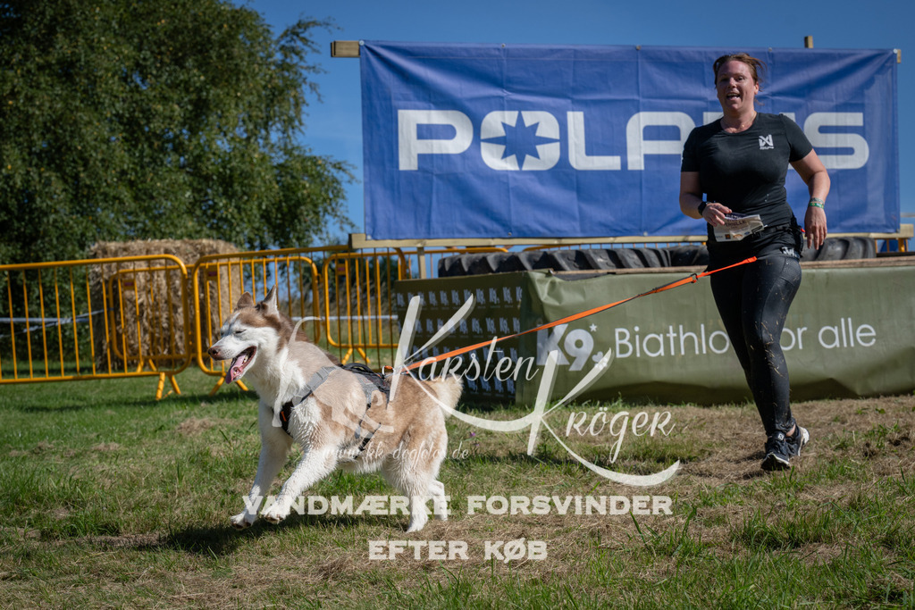 1037_ZZ98946 | kk-dogfotos