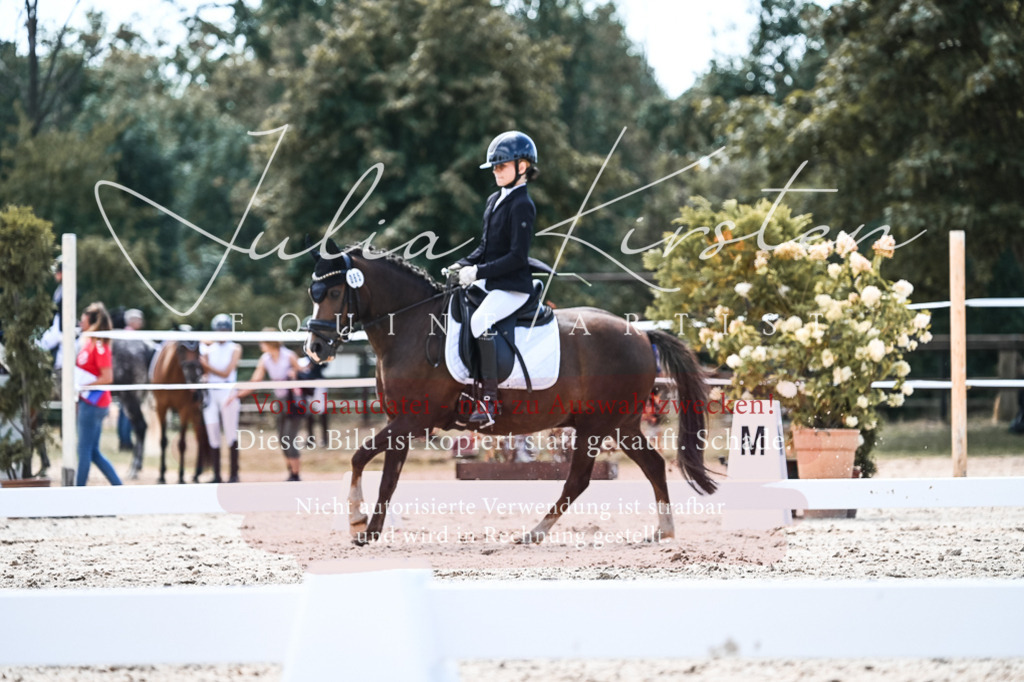 DSC_5725 | Pferde- und Turnierfotografie in Westsachsen. Pferdeportraits, Auftragszeichnungen und intuitive Kunst.