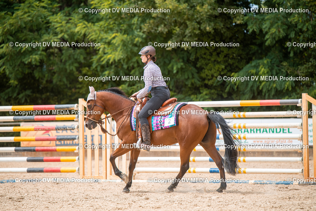 EWP_6557 | dv-media-shop - Realisiert mit Pictrs.com