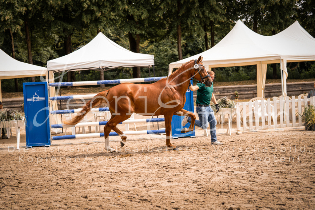 5.Fr00089 | Leoni Ertmer Photography - Realisiert mit Pictrs.com